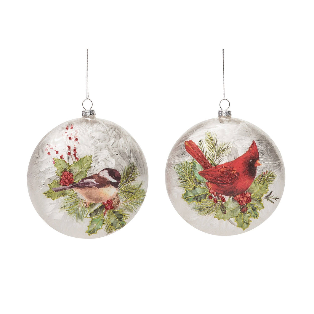 Glass 5.5 in. Christmas Silky Bird Ornament Set of 2