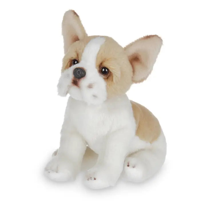 Plush Brown/White French Bulldog