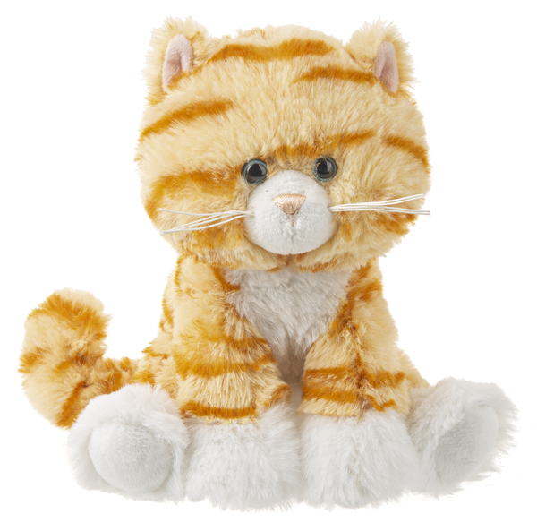 Plush Small Orange Tabby Kitten