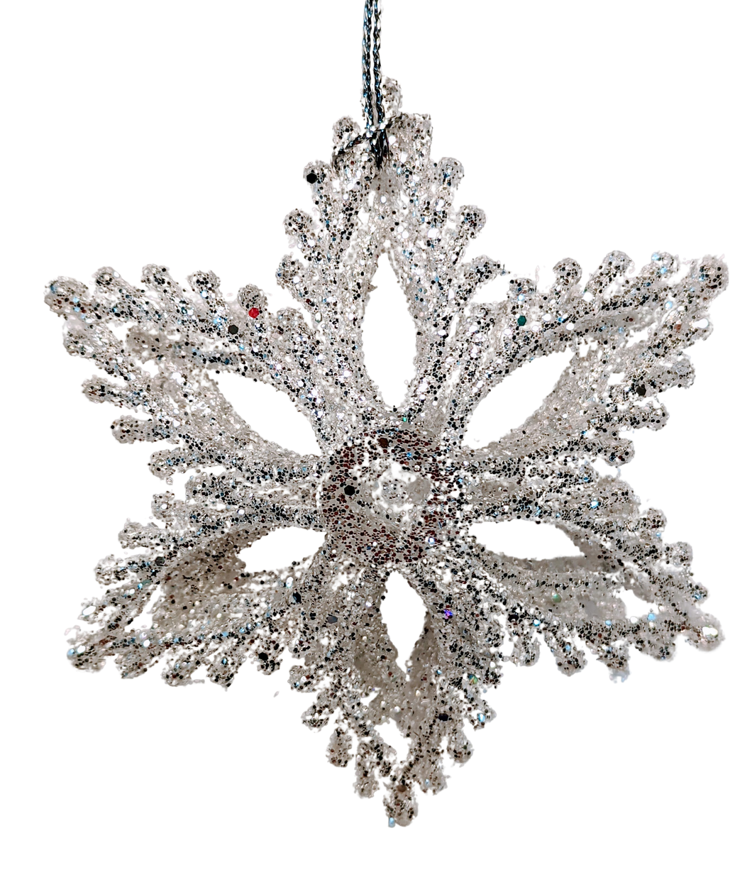 Glittered Snowflake Ornament Light or Dark Platinum Assortment