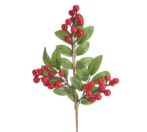 Red Berries with Green Leaves Pick